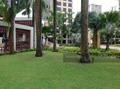 Heritage View (D5), Condominium #169847512